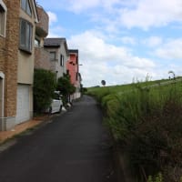 江戸川沿いのサイクリング