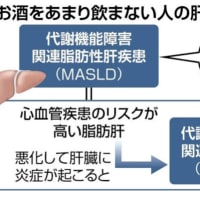 今日以降使えるダジャレ『3124』【医療・健康】■「非アルコール性脂肪肝炎」など肝臓病２種に新たな病名…「代謝」異常を明確に
