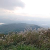 「大平山の登り口④」下見のつもりが‥‥「汗、汗、汗」
