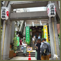 烏森神社の七夕まつり