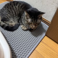 2025/7/5の夜