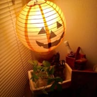 期日前投票所に行ってみました