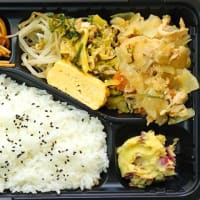 洗濯船日替わり弁当