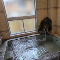 美人の湯、美又温泉とベリーネ