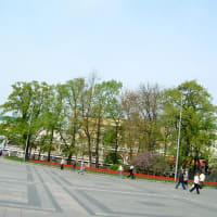 5月１６日