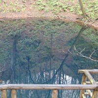 美しい十二湖　青池　(^0_0^)