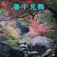 暑中葉書