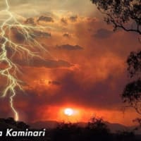 明日退院です♬  …ハワイアン/♪曙、武蔵丸、小錦～　　“Tengoku Kara Kaminari”