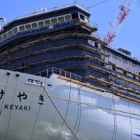 新日本海フェリー「けやき」進水