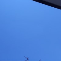 今日は暑い！