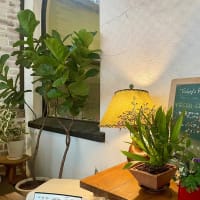 Vegetarian＆Vegan Cafe「Modernark Pharm Cafe」(モダナークファームカフェ)（神戸・元町）