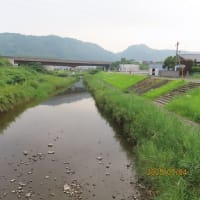 朝の散歩（2025/7/4）・・・姶良市加治木町春日公園方面
