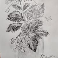 6月の絵を描いてみる会