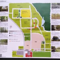ミニ旅行　③ひのえワイナリー～若山農場