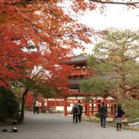 京都-平等院