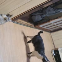 馴染みすぎ
