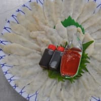 水曜は定休日です！！刺身と手作り干物の専門店「発寒かねしげ鮮魚店」