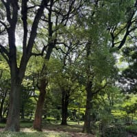 土壇場で愛を選び切った夢の話