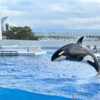 水族館🐬