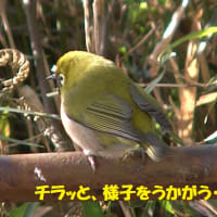 反省の反省！！