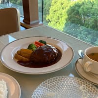 五月の奈良へ　デパートでランチ