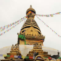 ネパール・インドの旅（3）モンキーテンプル