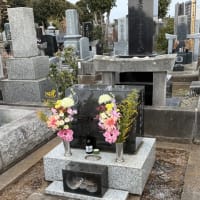 やはり田原豊道先生は太陽の子