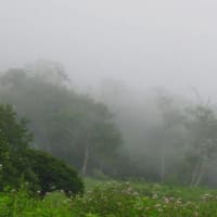 河東碧梧桐／夏断(げだち)して仏の痩を思ひけり