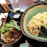 |M3423|巣鴨地蔵通りに入って1～2分の『地蔵蕎麦大橋屋』にお邪魔。生ビ＆えだまめ＆板わさ＆アジフライで開始し、冷やしたぬきそばとミニチャーシュー丼で締めました！