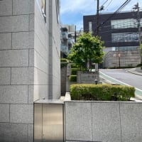 今週は東京