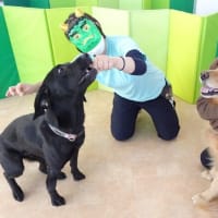 未病ケアの《Ｄｏｇｓｃａｎ》開催しました！【ALOHA塾】　　犬のしつけ教室＠アロハドギー