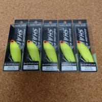ソルトルアー入荷中!
