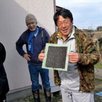 江戸前海苔づくり体験記①-木更津市