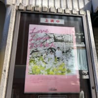 ディズニー画像ランド 50 パンダ ホテル ディズニー ディズニー画像ランド 50 パンダ ホテル ディズニー