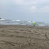 みんなで海へ🏝️