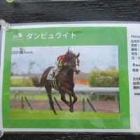 アルプホルンと競走馬