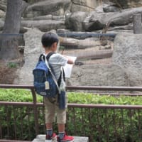 動物園スケッチ ③
