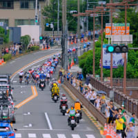 7月13日(日) THE ROAD RACE TOKO TAMA 2025-ボランティア活動のスナップ
