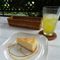夏至茶屋ランチ