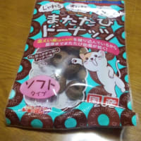 おひさしぶりです。＼(^o^)／