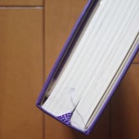 モレスキン