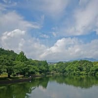 皐月の山上湖風情 その　4