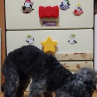 5月になっても何時も通りだもん！