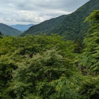 山梨県　富士川町　「山の湯」再訪・・・その２