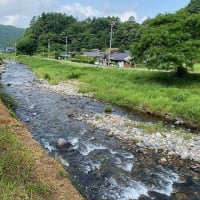 今日は静かです