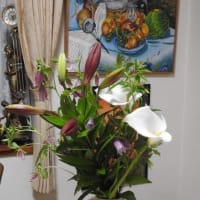 居間に咲いている胡蝶蘭とアマリリスの花と卓上の花々♪