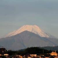 4月26日、朝の月と富士山～ツキヌキニンドウ～♬♪