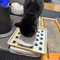 2025/6/25の朝