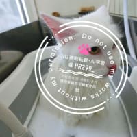 5/27 シャンプーに行ってきました