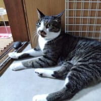6月19日（木）急な暑さに体が適応できずにグロッキーです